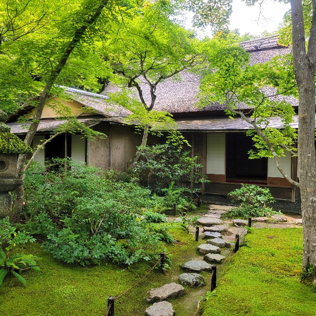 f:id:atoriatoriatori:20230804083639j:image