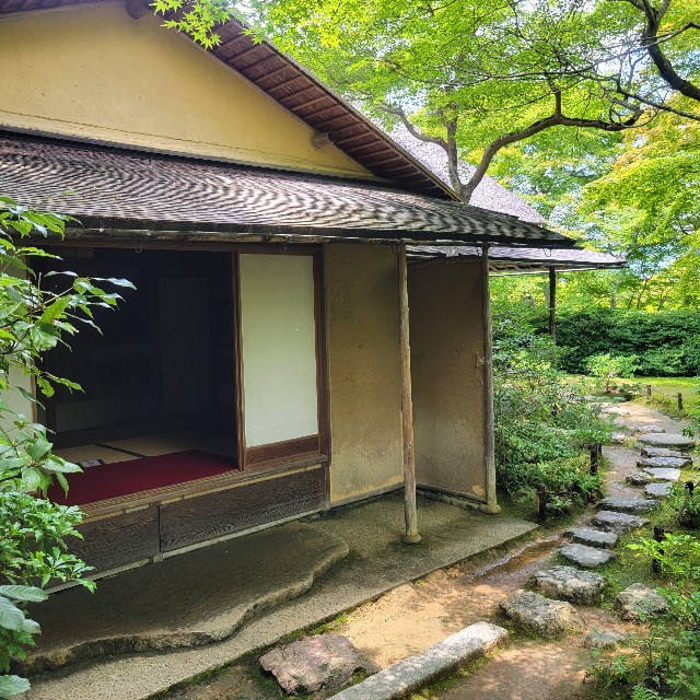 f:id:atoriatoriatori:20230804102541j:image