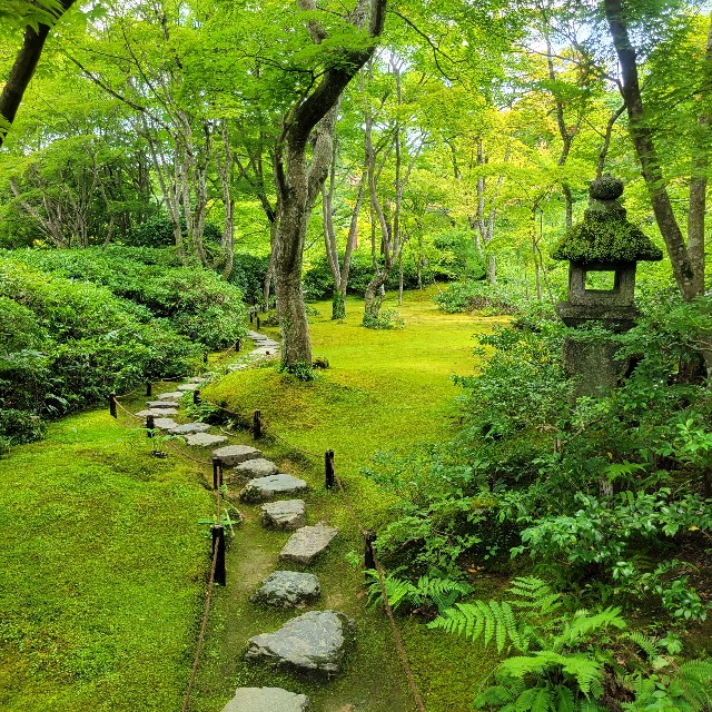 f:id:atoriatoriatori:20230804111846j:image