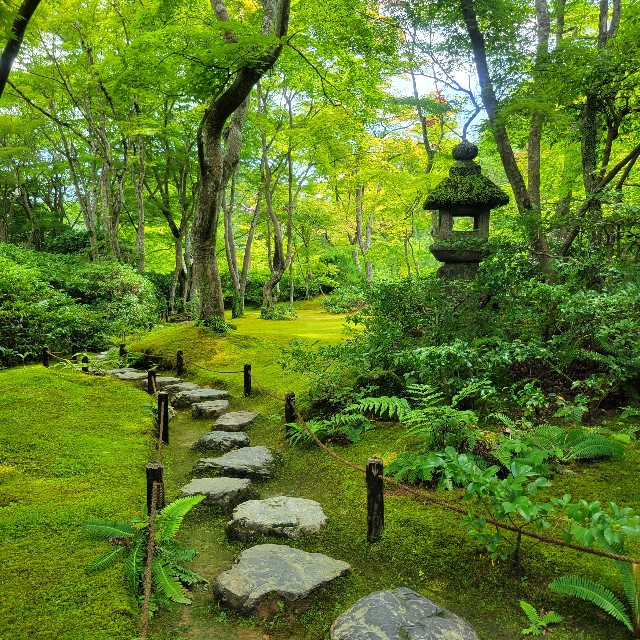 f:id:atoriatoriatori:20230804111853j:image