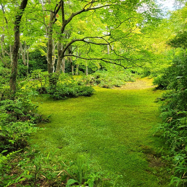 f:id:atoriatoriatori:20230804111901j:image