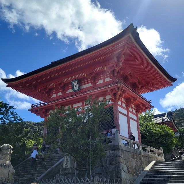 f:id:atoriatoriatori:20230812203109j:image f:id:atoriatoriatori:20230812203109j:image