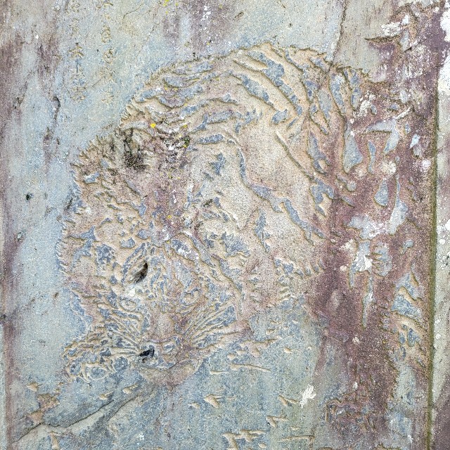 f:id:atoriatoriatori:20230813192043j:image f:id:atoriatoriatori:20230813192043j:image