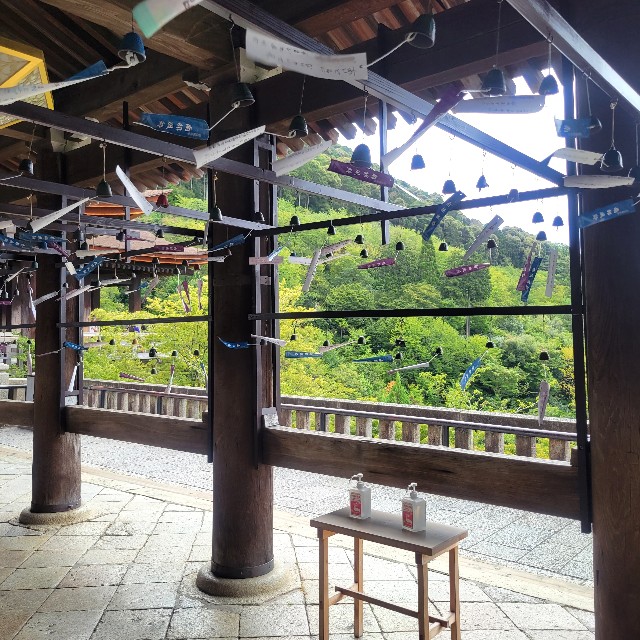 f:id:atoriatoriatori:20230814101048j:image f:id:atoriatoriatori:20230814101048j:image