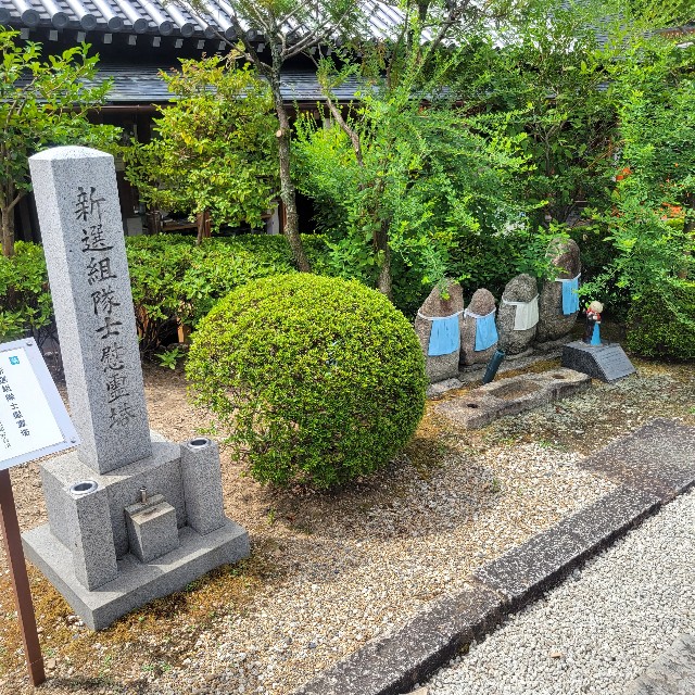 f:id:atoriatoriatori:20230828094954j:image