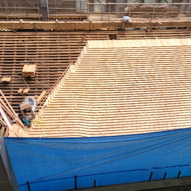 f:id:atoriatoriatori:20230921095330j:image f:id:atoriatoriatori:20230921095330j:image