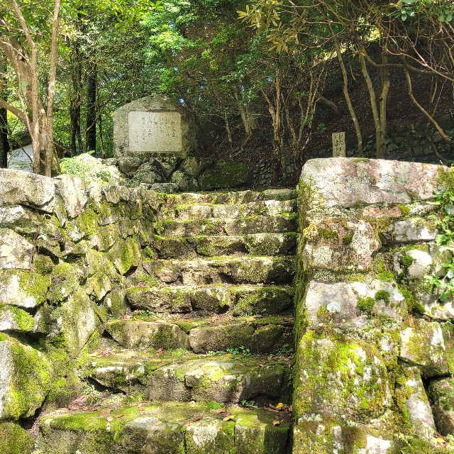 f:id:atoriatoriatori:20230921154726j:image f:id:atoriatoriatori:20230921154726j:image