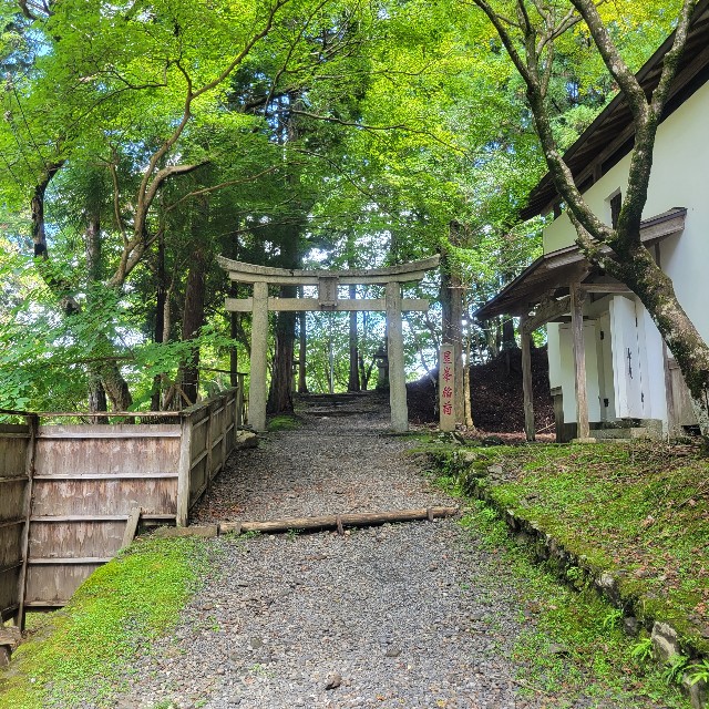 f:id:atoriatoriatori:20230921221432j:image