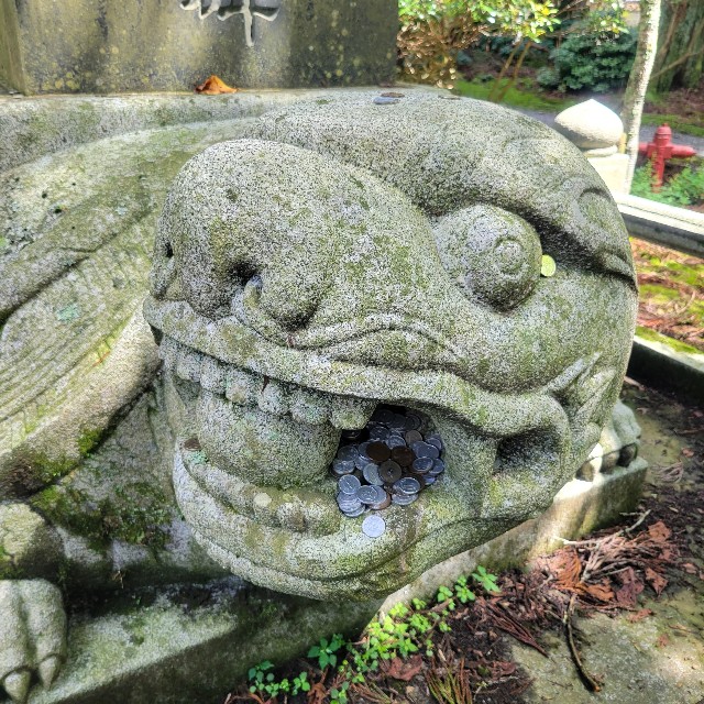 f:id:atoriatoriatori:20230922091050j:image