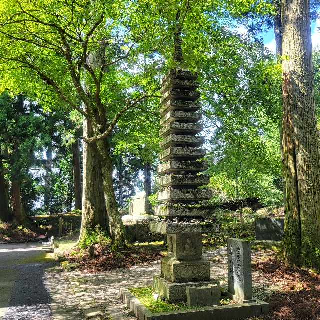 f:id:atoriatoriatori:20230922093412j:image