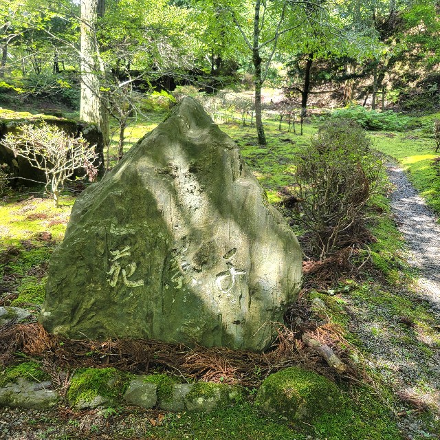 f:id:atoriatoriatori:20230922093743j:image