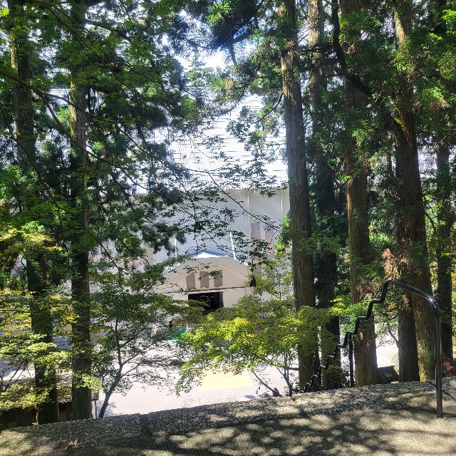 f:id:atoriatoriatori:20230922100621j:image