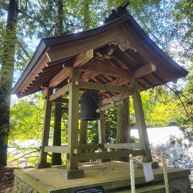 f:id:atoriatoriatori:20230922101006j:image