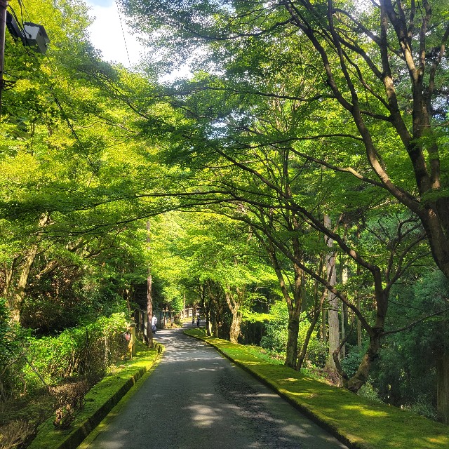 f:id:atoriatoriatori:20230925144325j:image