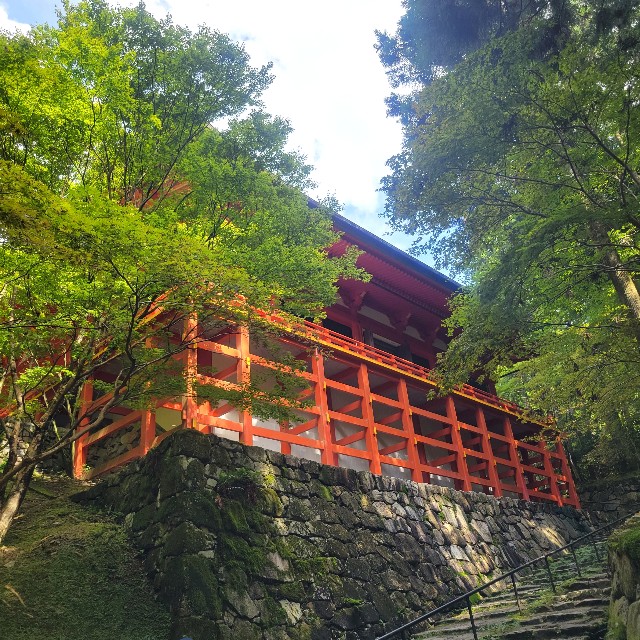 f:id:atoriatoriatori:20230925160931j:image