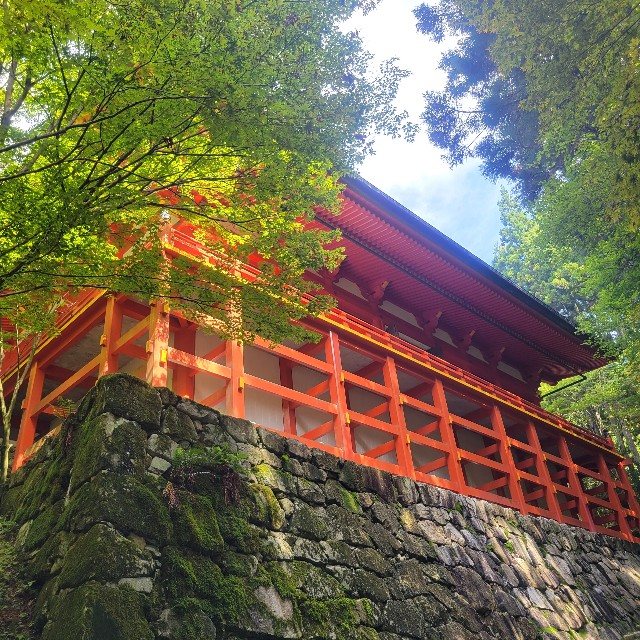 f:id:atoriatoriatori:20230925160939j:image