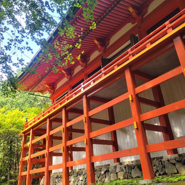 f:id:atoriatoriatori:20230925161057j:image