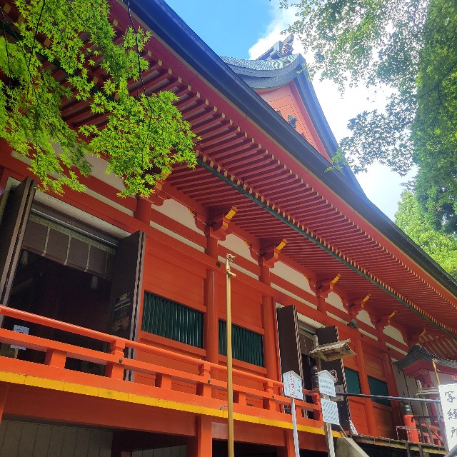 f:id:atoriatoriatori:20230925161104j:image