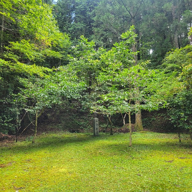 f:id:atoriatoriatori:20230925181942j:image