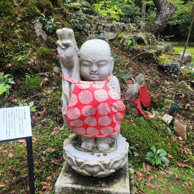 f:id:atoriatoriatori:20230925195138j:image