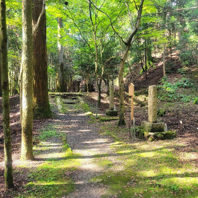 f:id:atoriatoriatori:20230925210944j:image