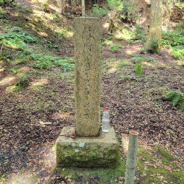 f:id:atoriatoriatori:20230925210951j:image