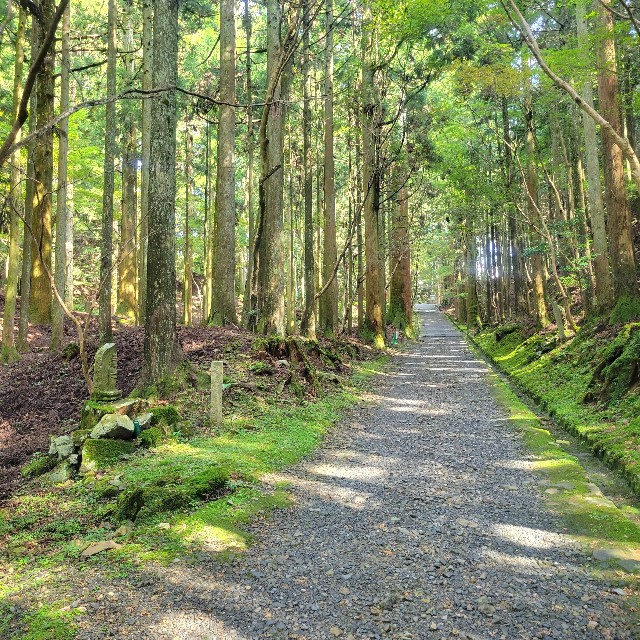 f:id:atoriatoriatori:20230926094053j:image