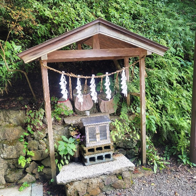 f:id:atoriatoriatori:20230928092516j:image f:id:atoriatoriatori:20230928092516j:image