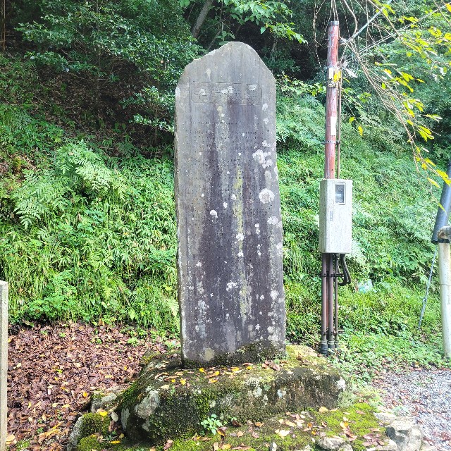 f:id:atoriatoriatori:20230928092721j:image f:id:atoriatoriatori:20230928092721j:image