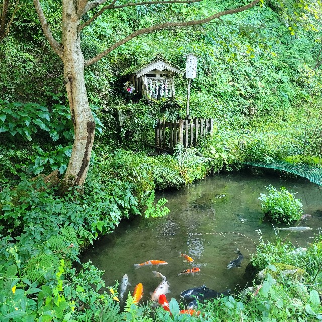 f:id:atoriatoriatori:20230928093058j:image f:id:atoriatoriatori:20230928093058j:image