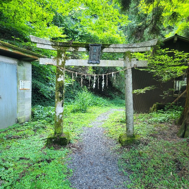 f:id:atoriatoriatori:20230928103155j:image f:id:atoriatoriatori:20230928103155j:image