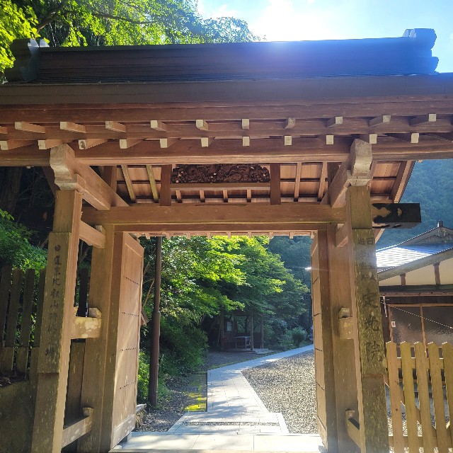f:id:atoriatoriatori:20230928105806j:image f:id:atoriatoriatori:20230928105806j:image