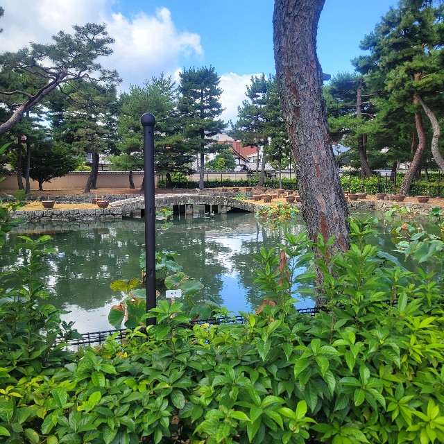 f:id:atoriatoriatori:20231009194344j:image f:id:atoriatoriatori:20231009194344j:image