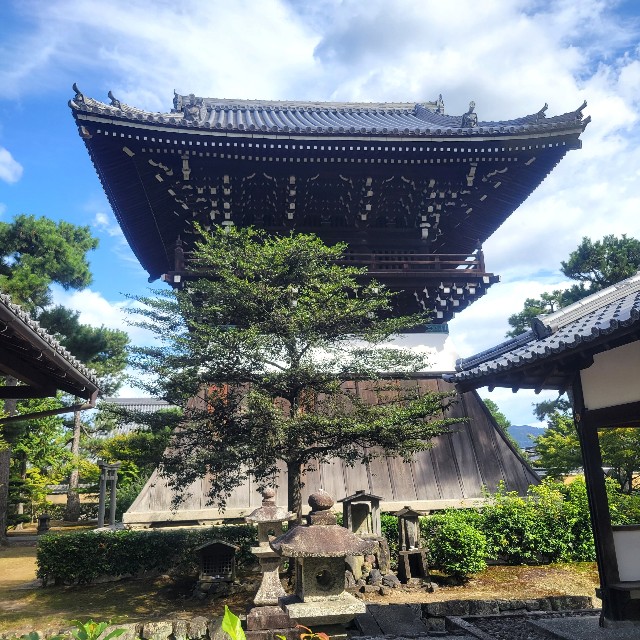 f:id:atoriatoriatori:20231009195040j:image f:id:atoriatoriatori:20231009195040j:image