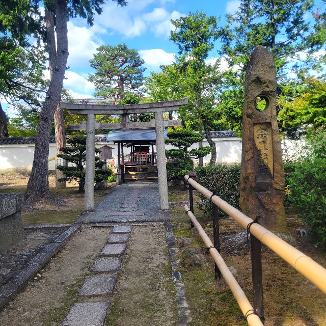 f:id:atoriatoriatori:20231009201115j:image f:id:atoriatoriatori:20231009201115j:image