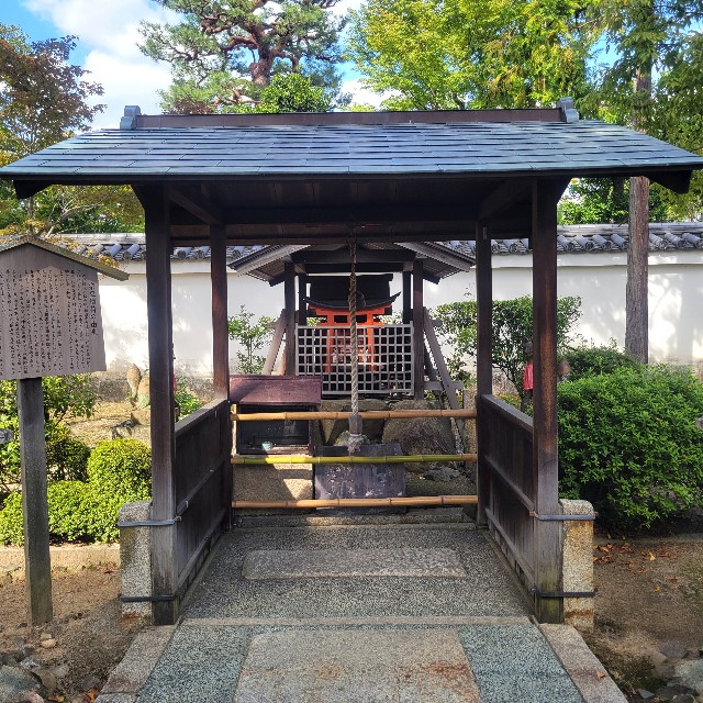 f:id:atoriatoriatori:20231009201129j:image f:id:atoriatoriatori:20231009201129j:image