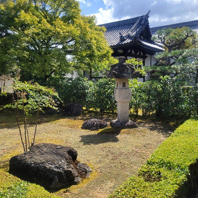 f:id:atoriatoriatori:20231009214904j:image f:id:atoriatoriatori:20231009214904j:image