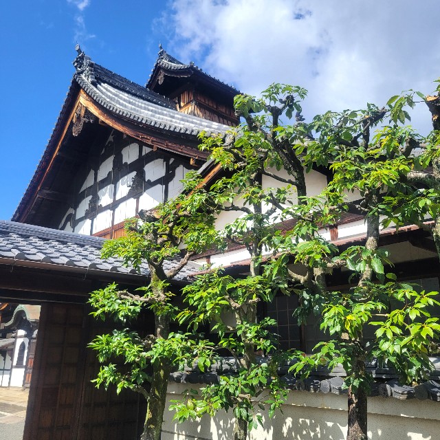 f:id:atoriatoriatori:20231010090715j:image f:id:atoriatoriatori:20231010090715j:image