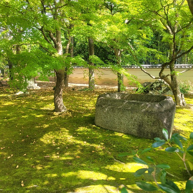 f:id:atoriatoriatori:20231010090742j:image f:id:atoriatoriatori:20231010090742j:image