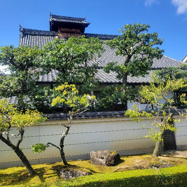 f:id:atoriatoriatori:20231010090749j:image f:id:atoriatoriatori:20231010090749j:image