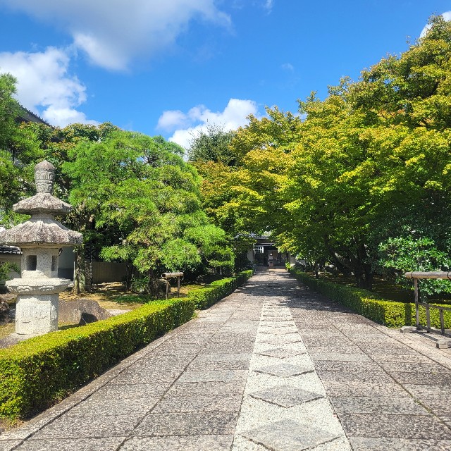 f:id:atoriatoriatori:20231010091234j:image f:id:atoriatoriatori:20231010091234j:image