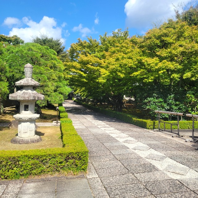 f:id:atoriatoriatori:20231010091243j:image f:id:atoriatoriatori:20231010091243j:image
