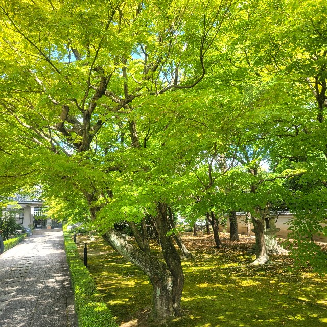f:id:atoriatoriatori:20231010091325j:image f:id:atoriatoriatori:20231010091325j:image