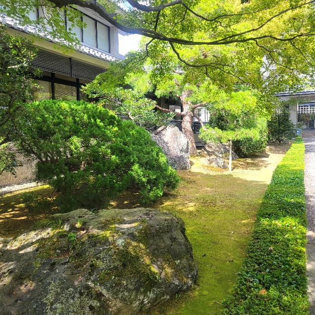 f:id:atoriatoriatori:20231010092011j:image f:id:atoriatoriatori:20231010092011j:image