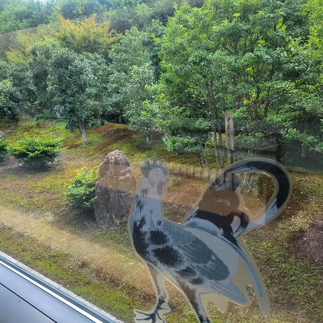 f:id:atoriatoriatori:20231013112726j:image f:id:atoriatoriatori:20231013112726j:image