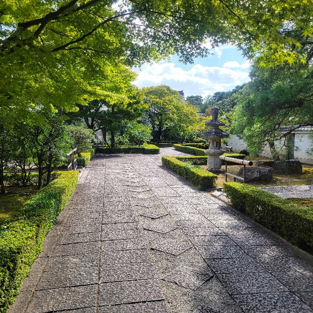 f:id:atoriatoriatori:20231013131417j:image f:id:atoriatoriatori:20231013131417j:image