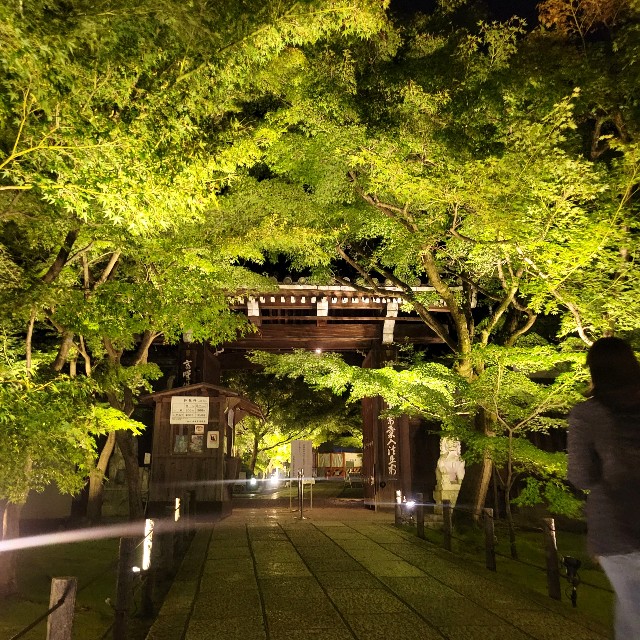 f:id:atoriatoriatori:20231013211156j:image