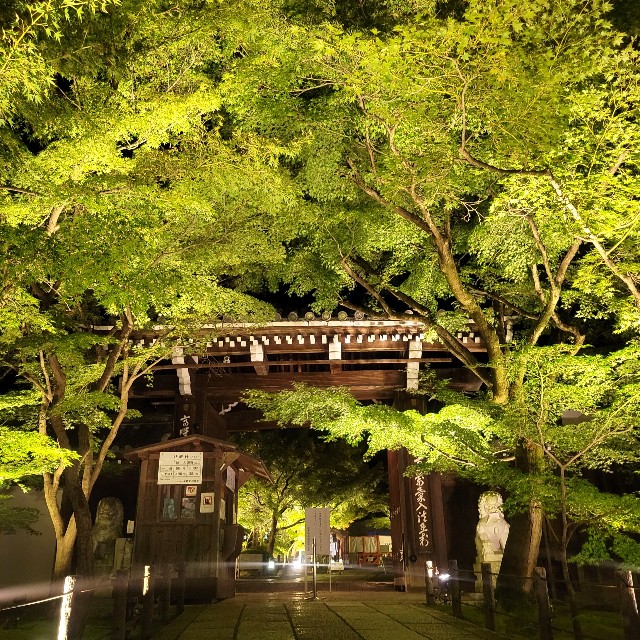 f:id:atoriatoriatori:20231013211203j:image