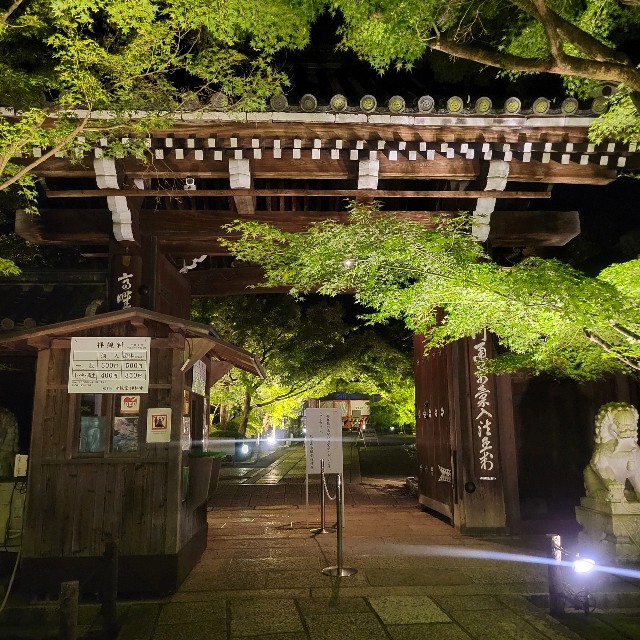 f:id:atoriatoriatori:20231013211209j:image