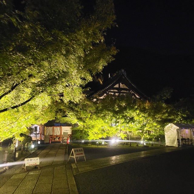 f:id:atoriatoriatori:20231015200232j:image